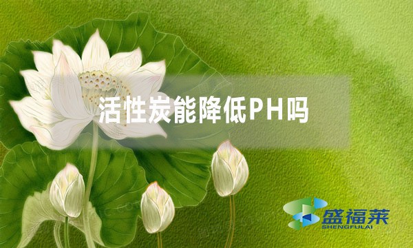 活性炭能降低PH嗎？為什么？