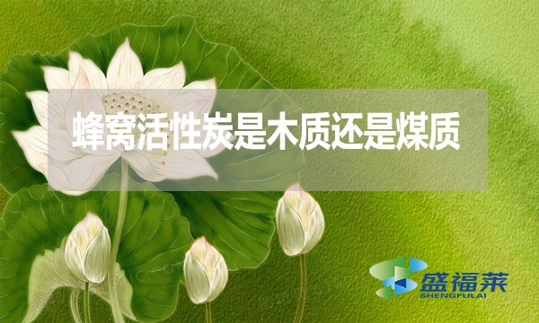 蜂窩活性炭是木質(zhì)還是煤質(zhì)？哪種好？