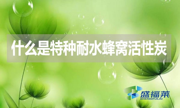 什么是特種耐水蜂窩活性炭？哪里能用到？