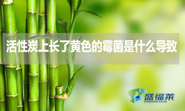 活性炭上長(zhǎng)了黃色的霉菌是什么導(dǎo)致的？還能不能使用？