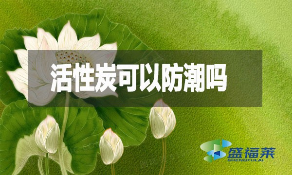 活性炭可以防潮嗎？活性炭防潮防霉效果測試